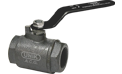 Cast Iron Ball Valve